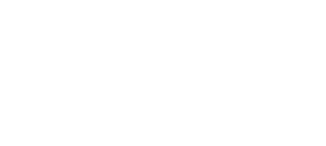 SPX Express